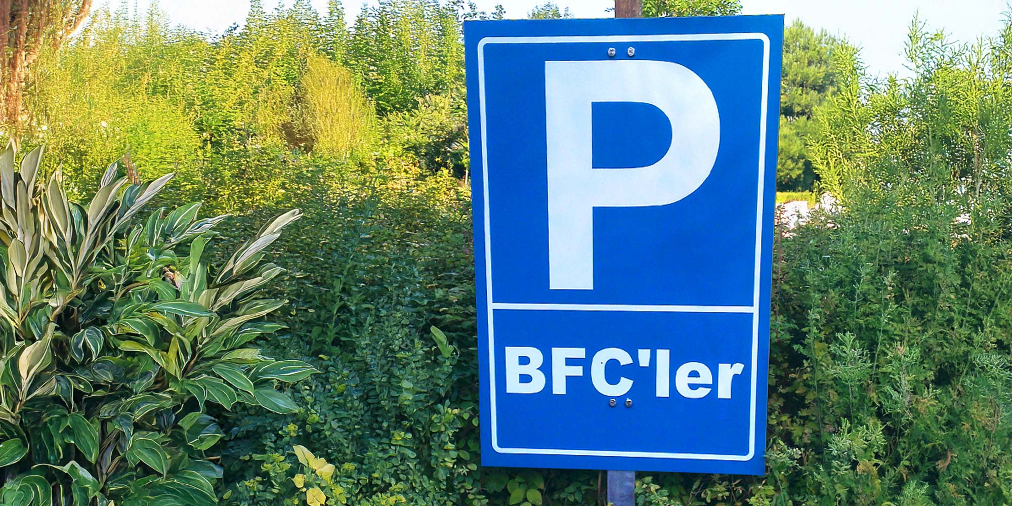 BFC Jetzt bewerben